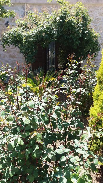 Artemisia Traditional Home Choudetsi ภายนอก รูปภาพ